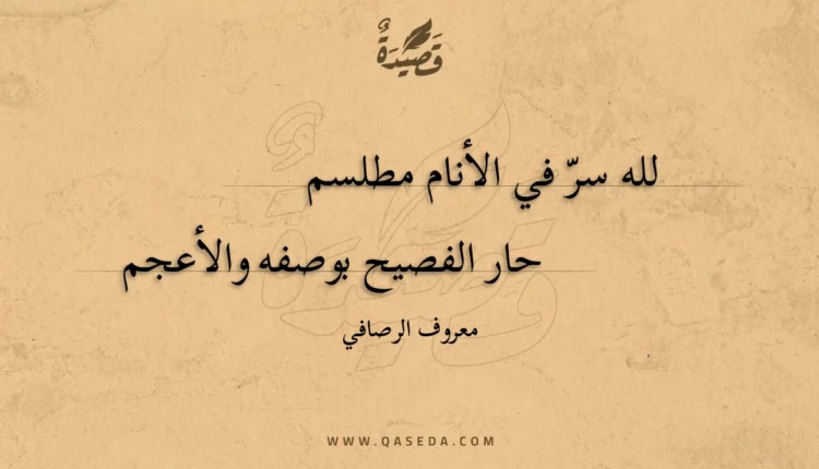 قصيدة لله سر في الأنام مطلسم