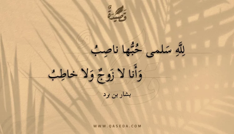 قصيدة لله سلمى حبها ناصب