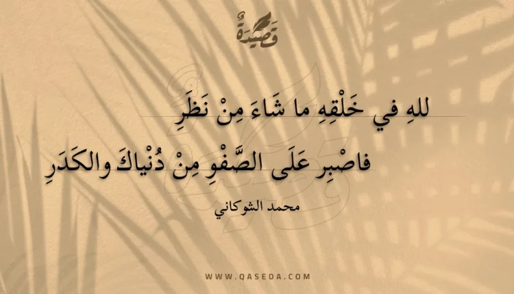 قصيدة لله في خلقه ما شاء من نظر