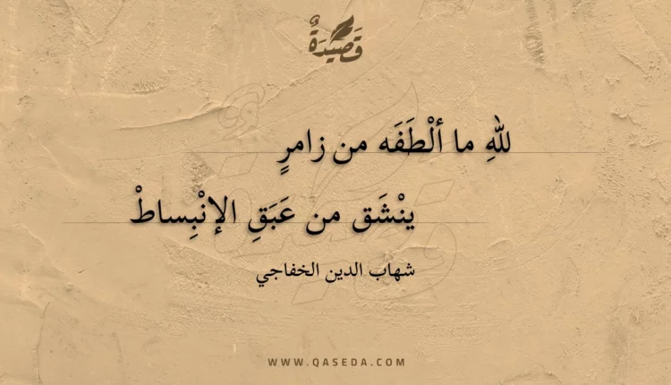 قصيدة لله ما ألطفه من زامر