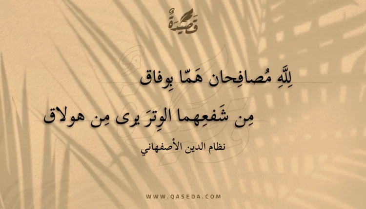 قصيدة لله مصافحان هما بوفاق