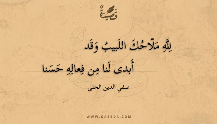 قصيدة لله ملاحك اللبيب وقد