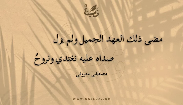 قصيدة لله يا سيف العروبة