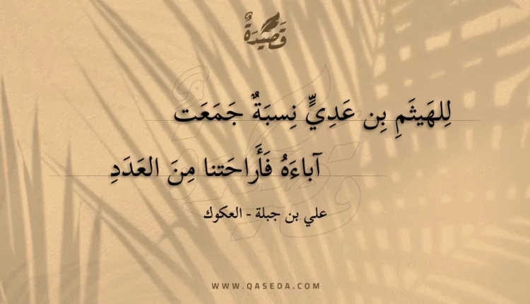 قصيدة للهيثم بن عدي نسبة جمعت