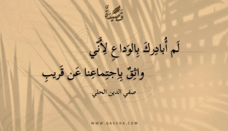 قصيدة لم أبادرك بالوداع لأني