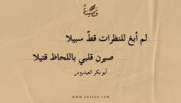 قصيدة لم أبغ للنظرات قط سبيلا