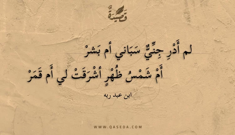 قصيدة لم أدر جني سباني أم بشر
