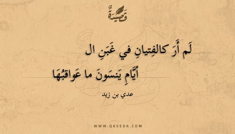 قصيدة لم أر كالفتيان في غبن الايام