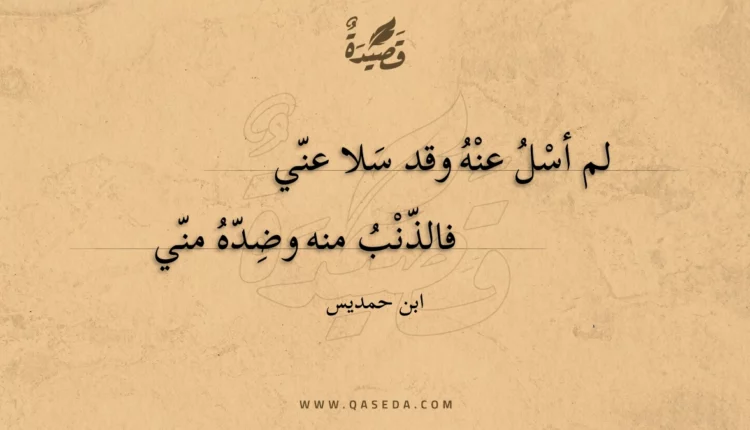 قصيدة لم أسل عنه وقد سلا عني