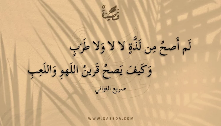 قصيدة لم أصح من لذة لا لا ولا طرب