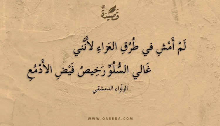 قصيدة لم أمش في طرق العزاء لأنني