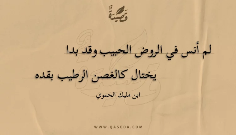 قصيدة لم أنس في الروض الحبيب وقد بدا