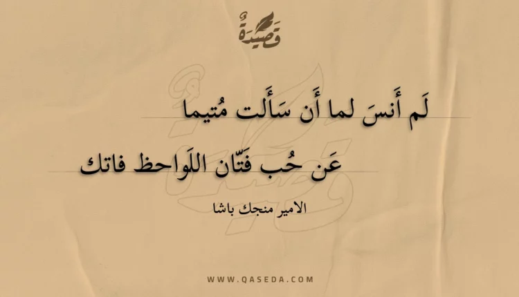 قصيدة لم أنس لما أن سألت متيما