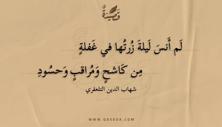 قصيدة لم أنس ليلة زرتها في غفلة