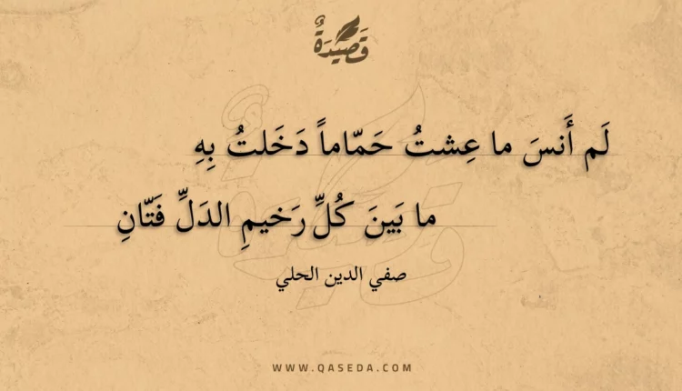 قصيدة لم أنس ما عشت حماما دخلت به