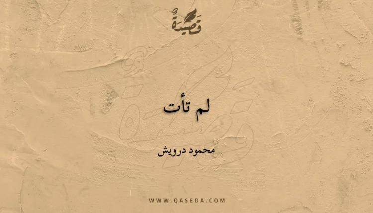 قصيدة لم تأت