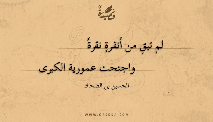 قصيدة لم تبقِ من أنقرة نقرة