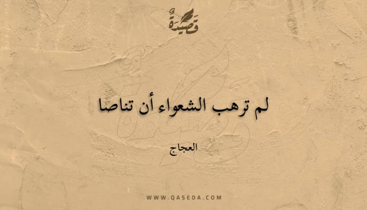 قصيدة لم ترهب الشعواء أن تناصا
