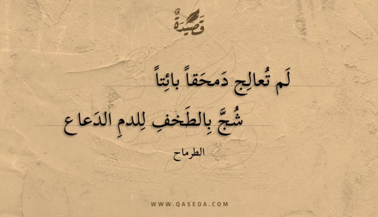 قصيدة لم تعالج دمحقا بائتا