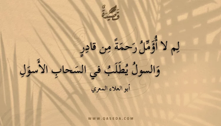قصيدة لم لا أؤمل رحمة من قادر