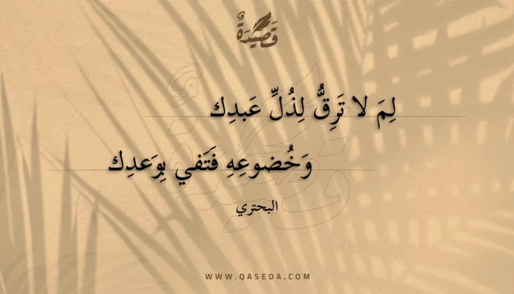 قصيدة لم لا ترق لذل عبدك