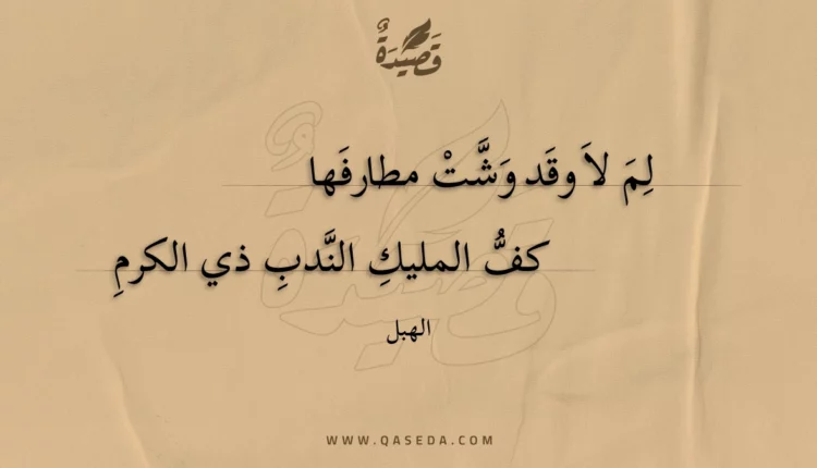 قصيدة لم لا وقد وشت مطارفها