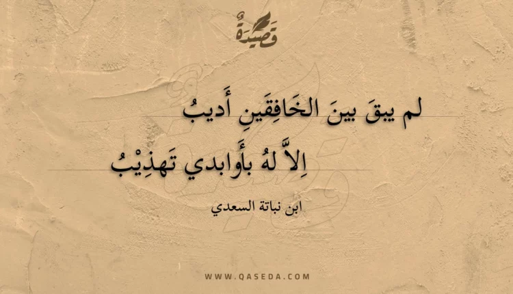 قصيدة لم يبق بين الخافقين أديب