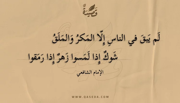 قصيدة لم يبق في الناس إلا المكر والملق