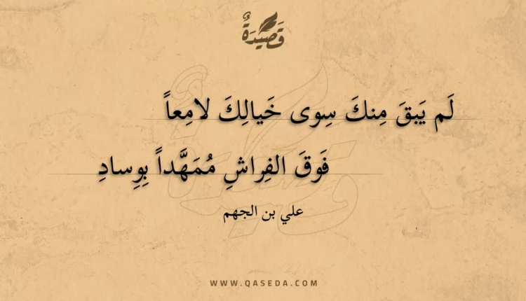 قصيدة لم يبق منك سوى خيالك لامعا