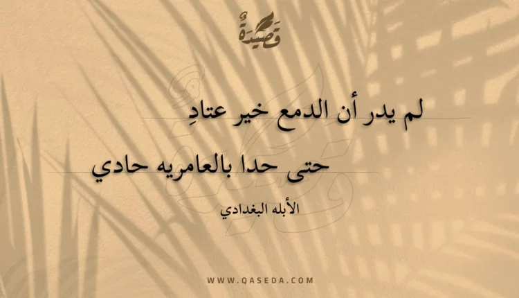 قصيدة لم يدر أن الدمع خير عتاد