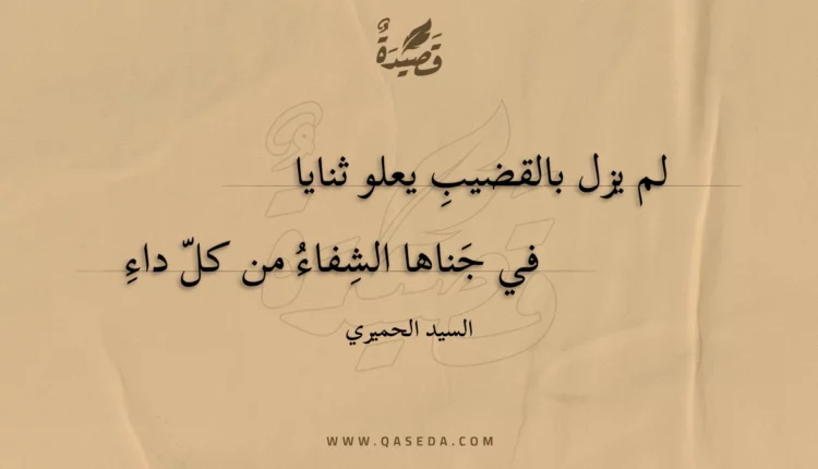 قصيدة لم يزل بالقضيب يعلو ثنايا