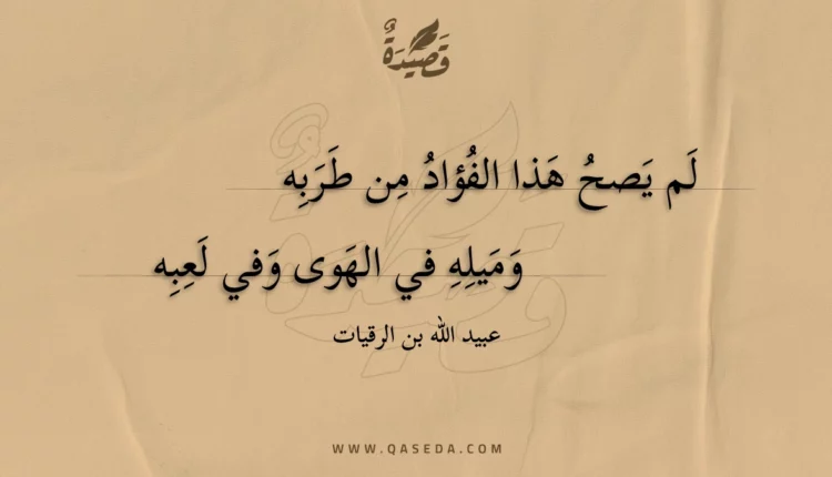 قصيدة لم يصح هذا الفؤاد من طربه