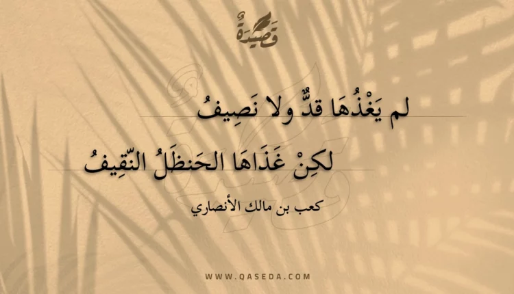 قصيدة لم يغذها قد ولا نصيف