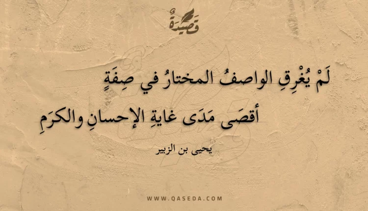 قصيدة لم يغرق الواصف المختار في صفة