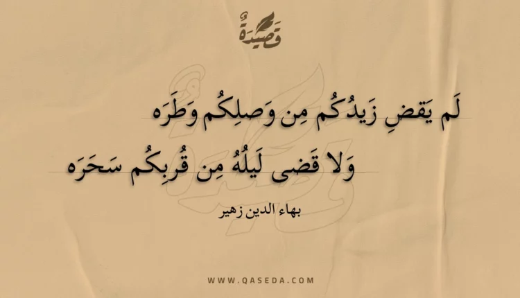 قصيدة لم يقض زيدكم من وصلكم وطره
