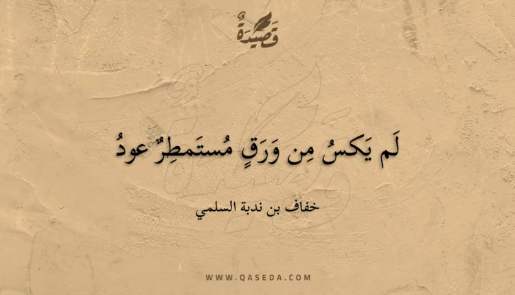 قصيدة لم يكس من ورق مستمطر عود