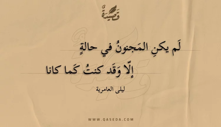 قصيدة لم يكن المجنون في حالة