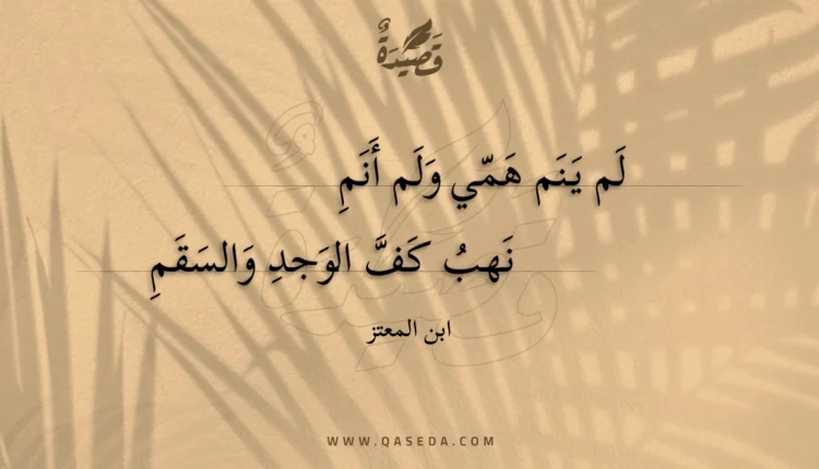 قصيدة لم ينم همي ولم أنم