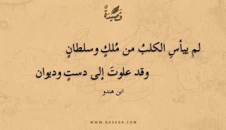قصيدة لم ييأس الكلب من ملك وسلطان