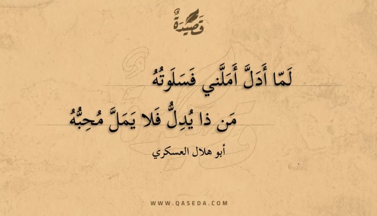 قصيدة لما أدل أملني فسلوته