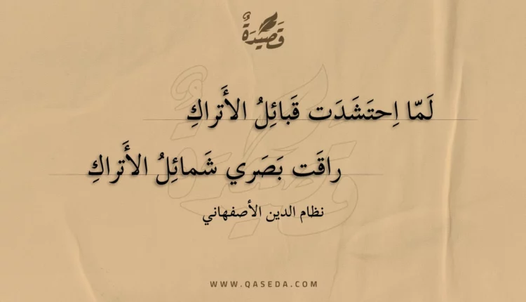 قصيدة لما احتشدت قبائل الأتراك