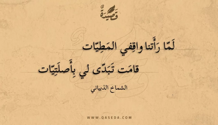 قصيدة لما رأتنا واقفي المطيات