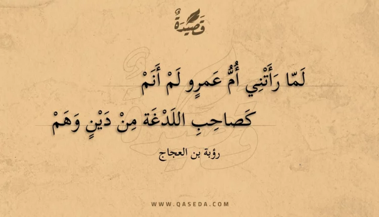 قصيدة لما رأتني أم عمرو لم أنم