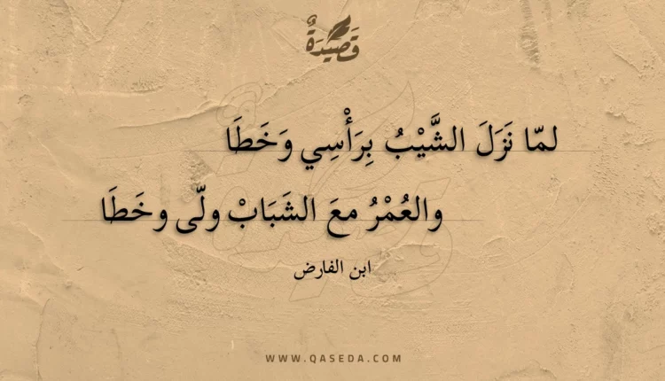 قصيدة لما نزل الشيب برأسي وخطا