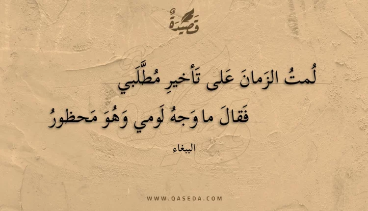 قصيدة لمت الزمان على تأخير مطلبي