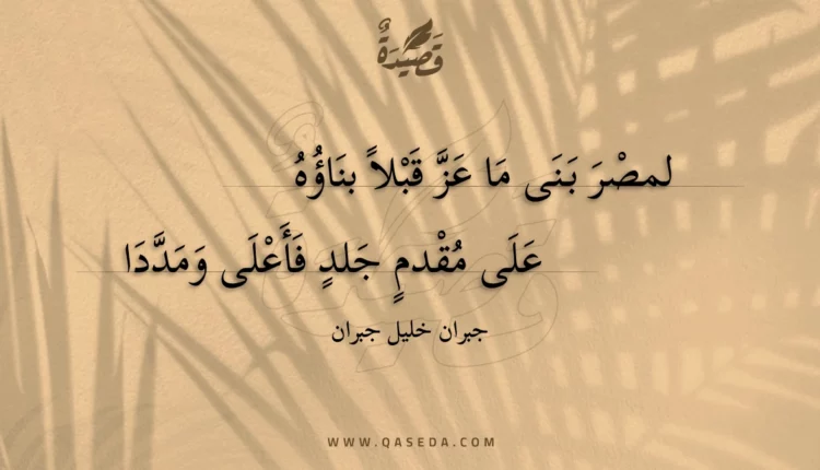 قصيدة لمصر سيوف في حديث جهادها