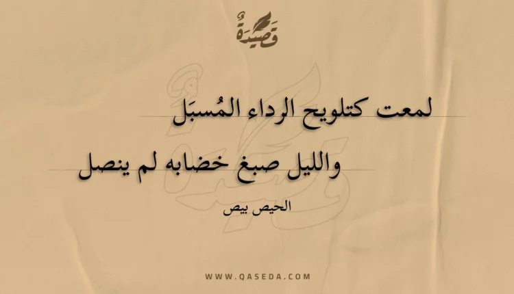 قصيدة لمعت كتلويح الرداء المسبل