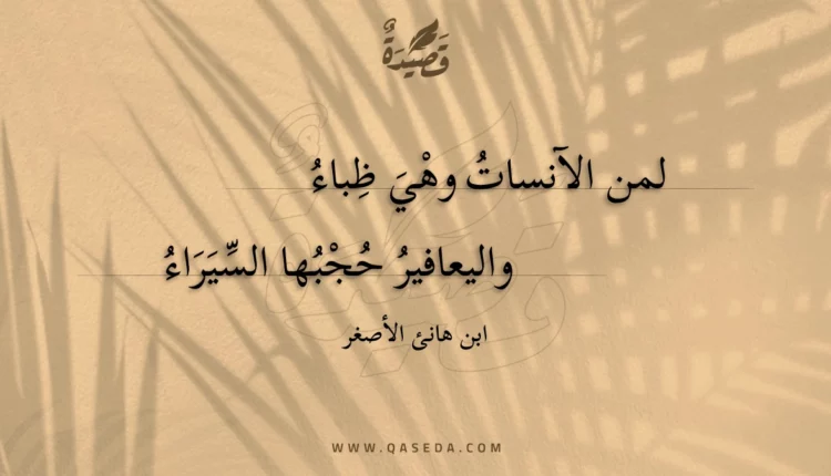 قصيدة لمن الآنسات وهي ظباء
