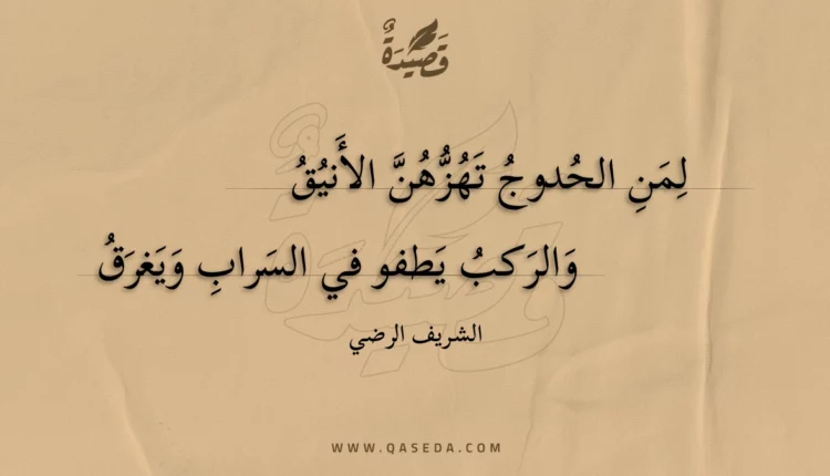 قصيدة لمن الحدوج تهزهن الأنيق