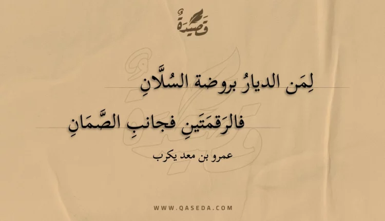 قصيدة لمن الديار بروضة السلان